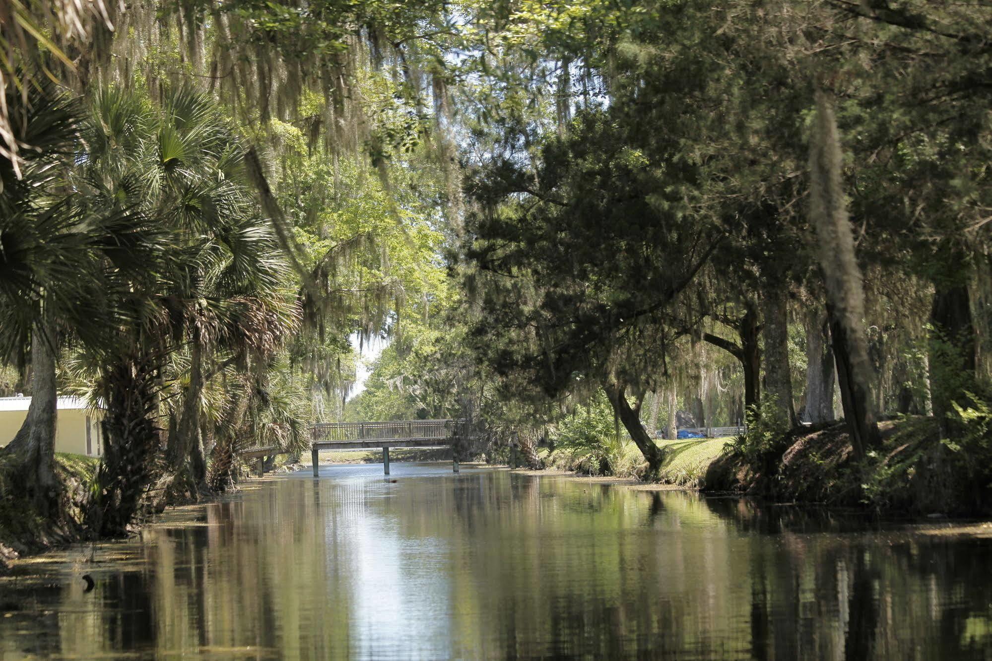 Bulow Rv Resort Flagler Beach Luaran gambar